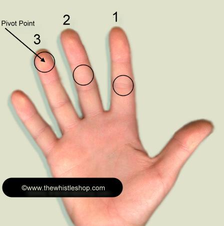 Penny Whistle Finger Chart