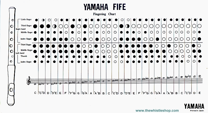 Recorder Finger Placement Chart